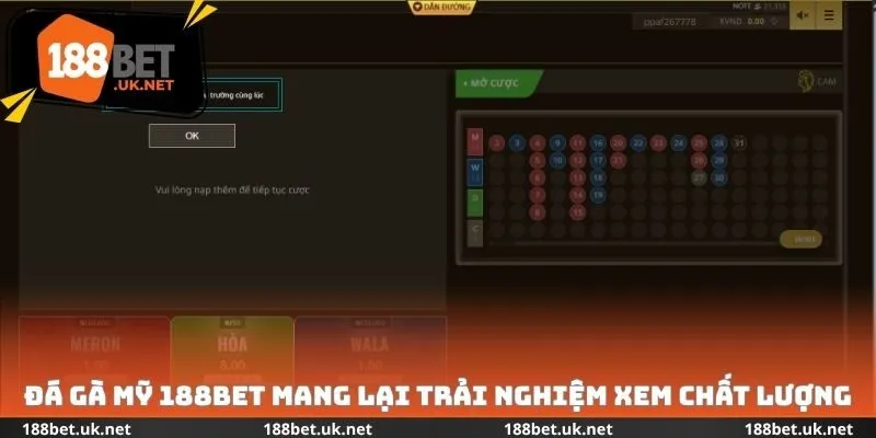 Đá gà Mỹ 188bet mang lại trải nghiệm xem chất lượng