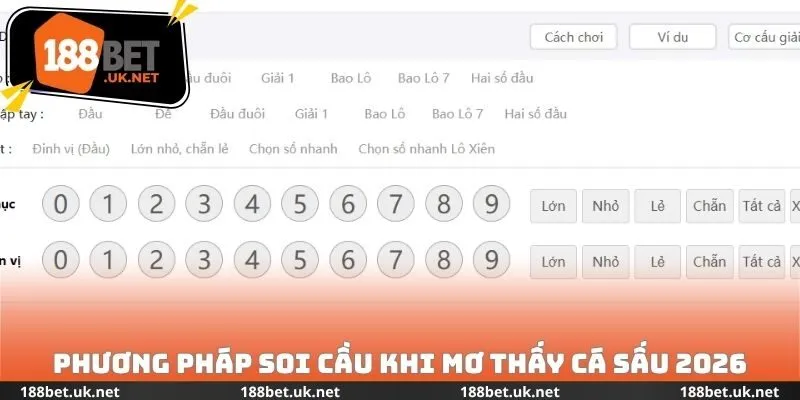 Phương pháp soi cầu khi mơ thấy cá sấu 2026